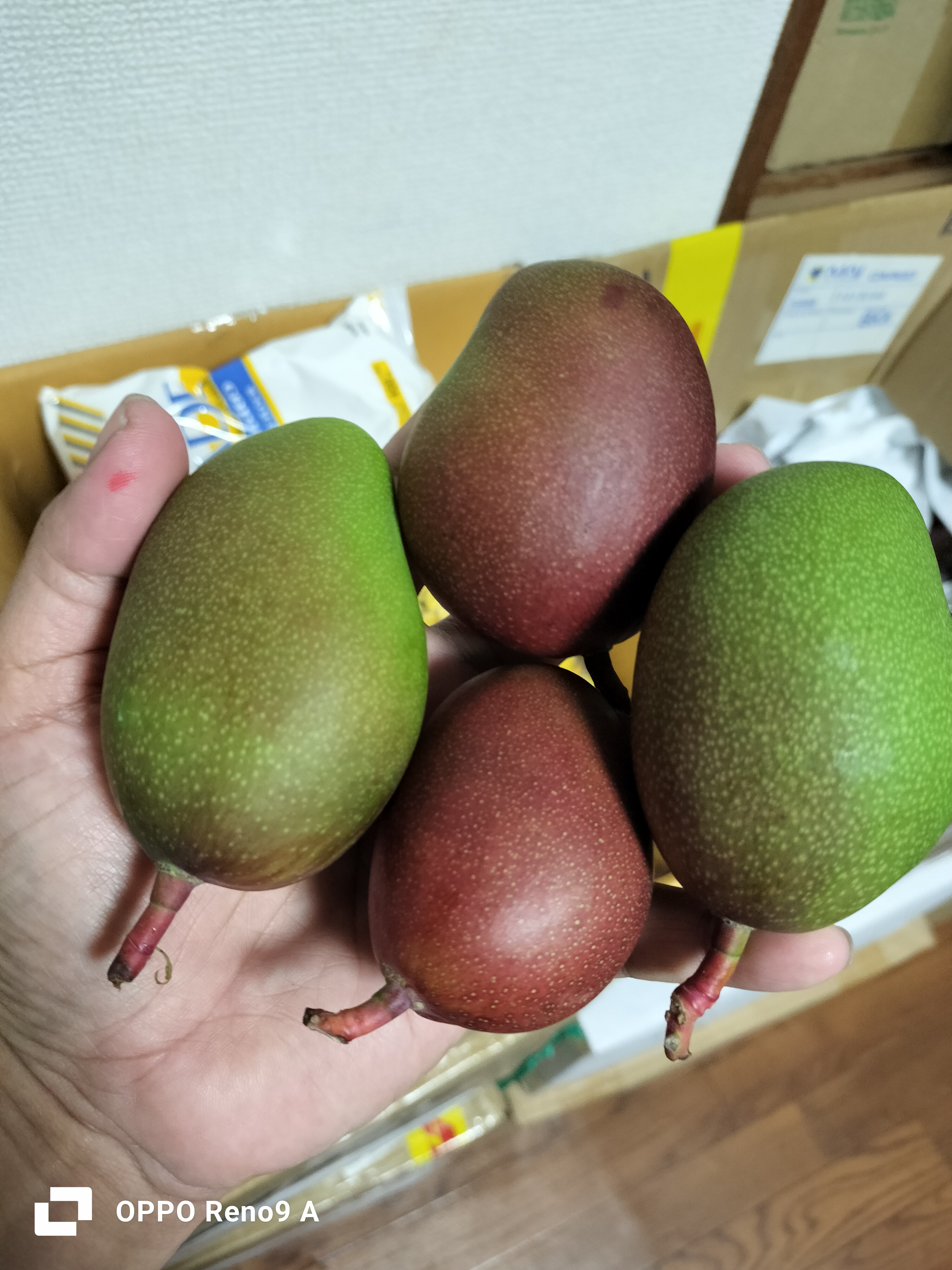 သရက်ကင်း (450g~500ｇ)