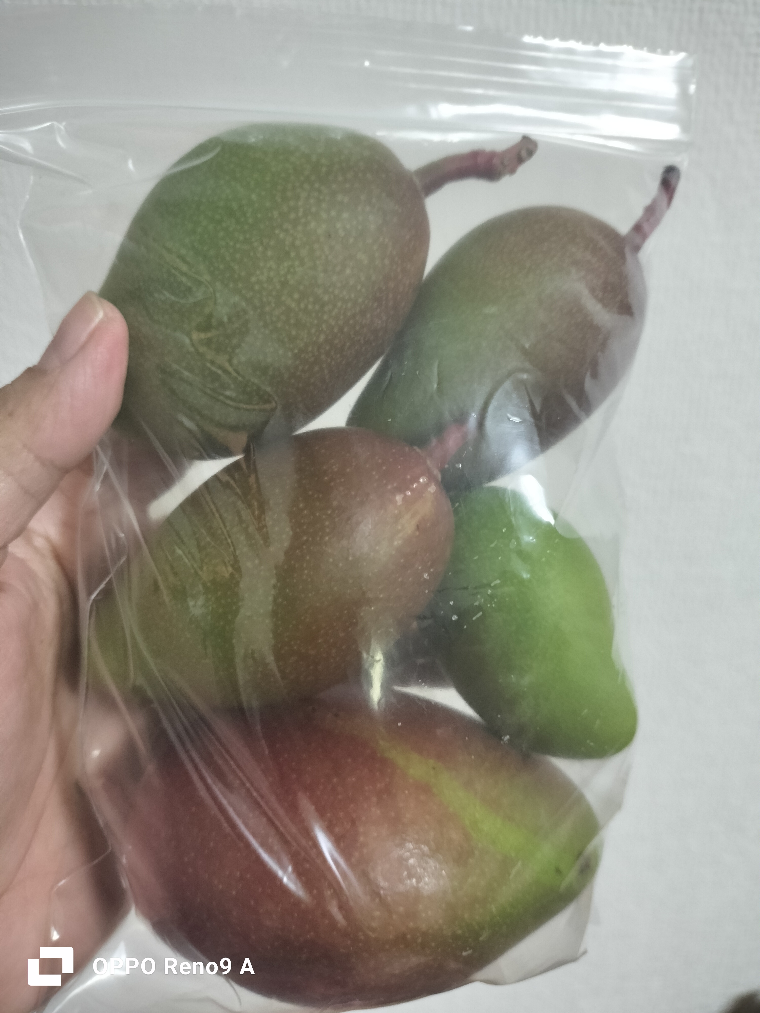 သရက်ကင်း (450g~500ｇ)