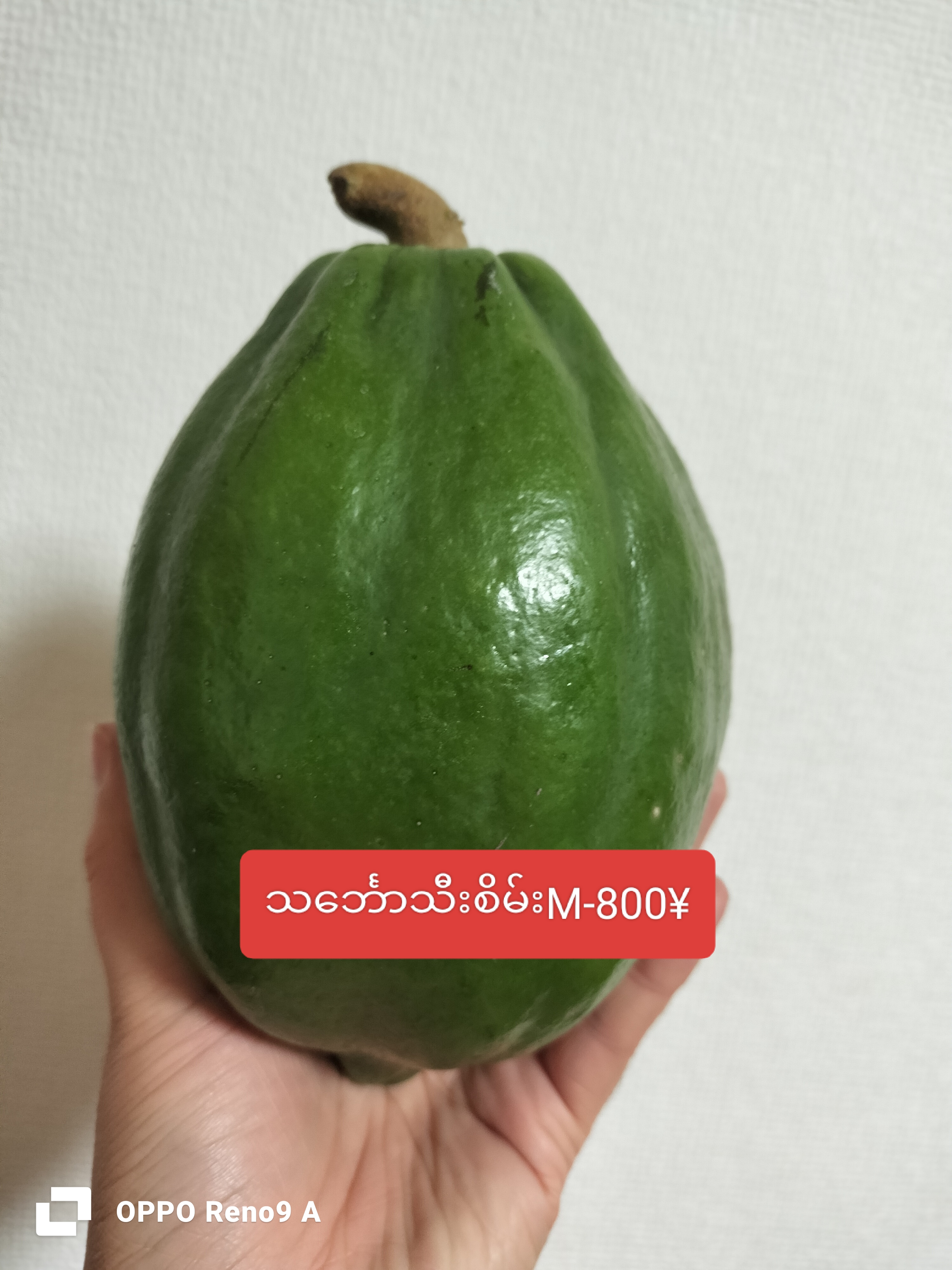 သင်္ဘောသီးစိမ်းM